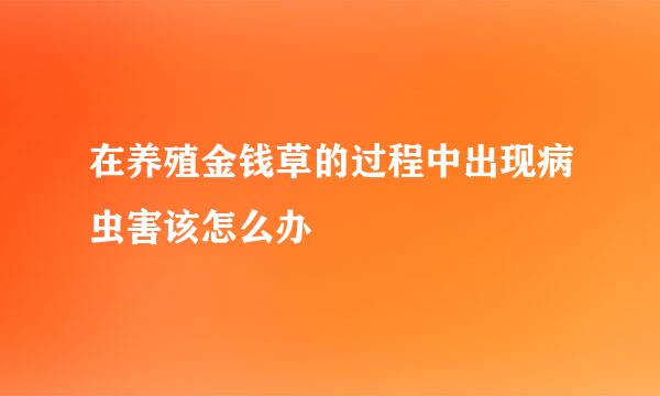 在养殖金钱草的过程中出现病虫害该怎么办