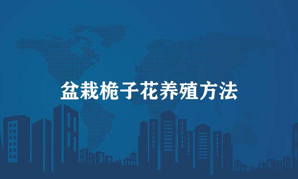 盆栽桅子花养殖方法