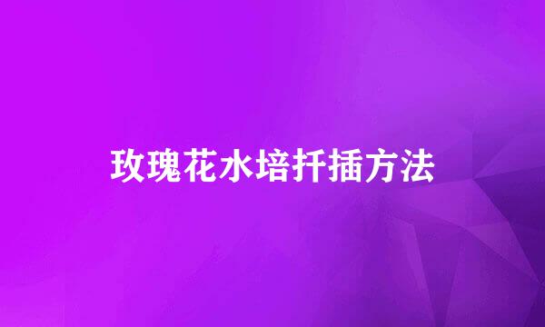 玫瑰花水培扦插方法