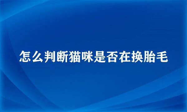 怎么判断猫咪是否在换胎毛