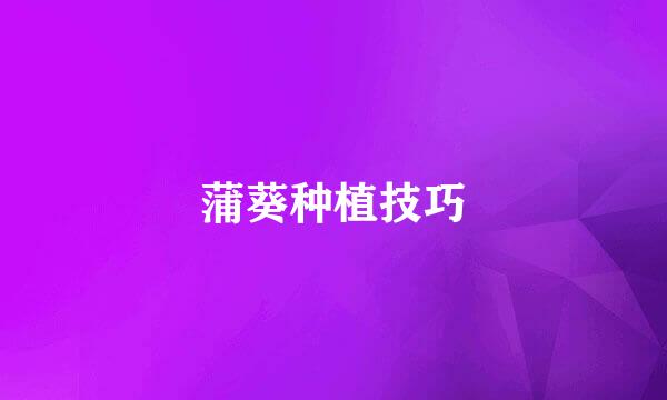 蒲葵种植技巧