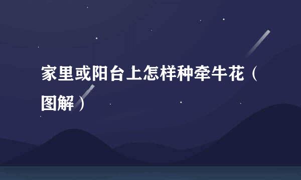 家里或阳台上怎样种牵牛花（图解）
