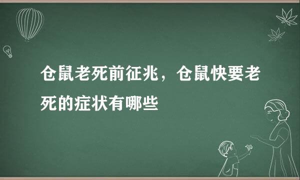 仓鼠老死前征兆，仓鼠快要老死的症状有哪些