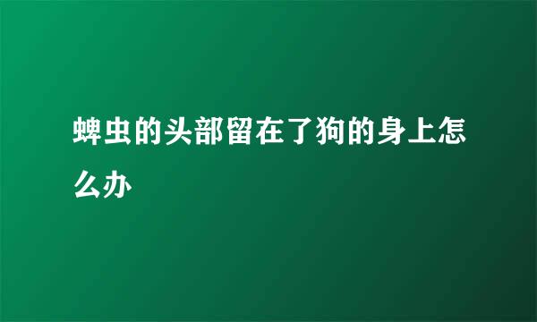蜱虫的头部留在了狗的身上怎么办