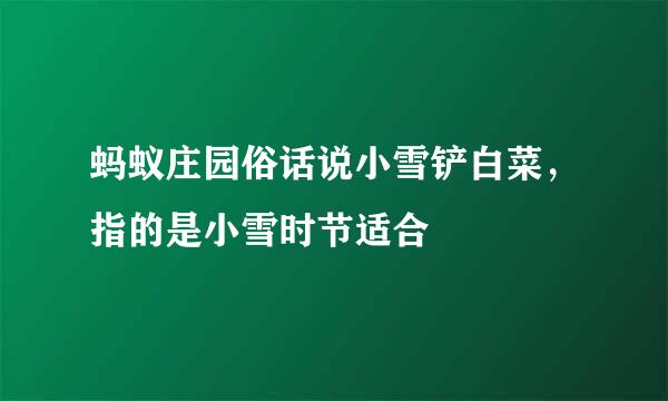 蚂蚁庄园俗话说小雪铲白菜，指的是小雪时节适合