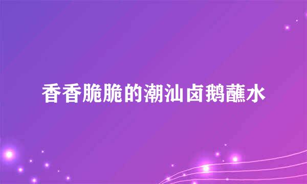 香香脆脆的潮汕卤鹅蘸水
