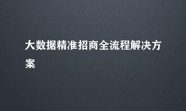 大数据精准招商全流程解决方案
