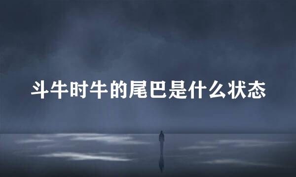斗牛时牛的尾巴是什么状态