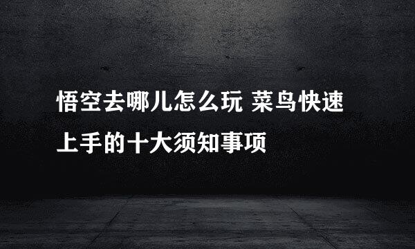 悟空去哪儿怎么玩 菜鸟快速上手的十大须知事项