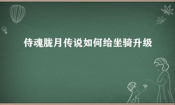 侍魂胧月传说如何给坐骑升级