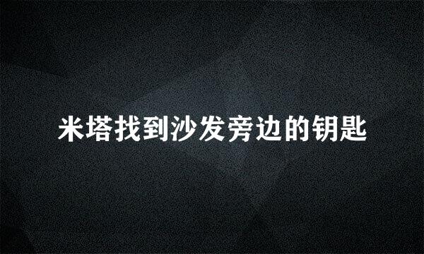 米塔找到沙发旁边的钥匙