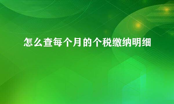 怎么查每个月的个税缴纳明细