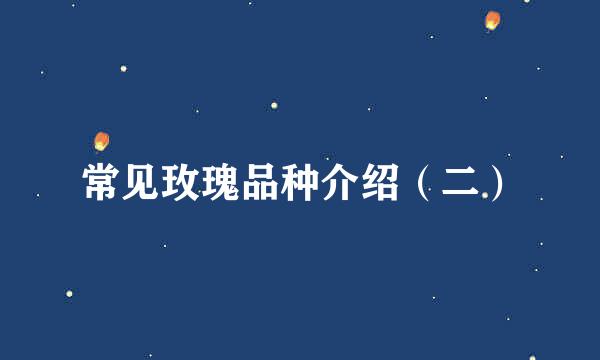 常见玫瑰品种介绍（二）
