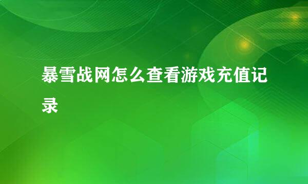 暴雪战网怎么查看游戏充值记录
