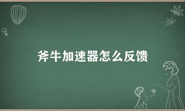 斧牛加速器怎么反馈