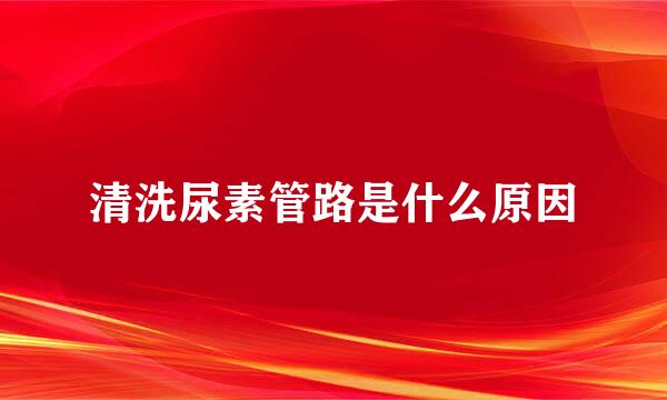 清洗尿素管路是什么原因