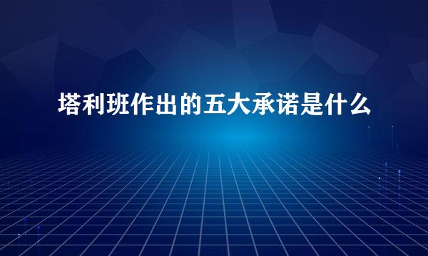 塔利班作出的五大承诺是什么