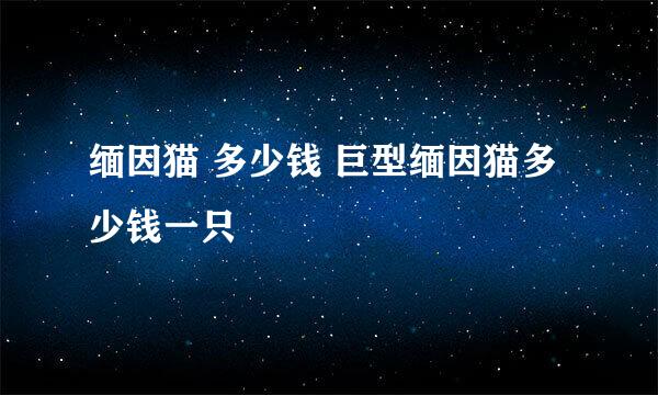 缅因猫 多少钱 巨型缅因猫多少钱一只