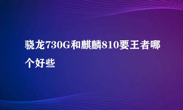 骁龙730G和麒麟810要王者哪个好些