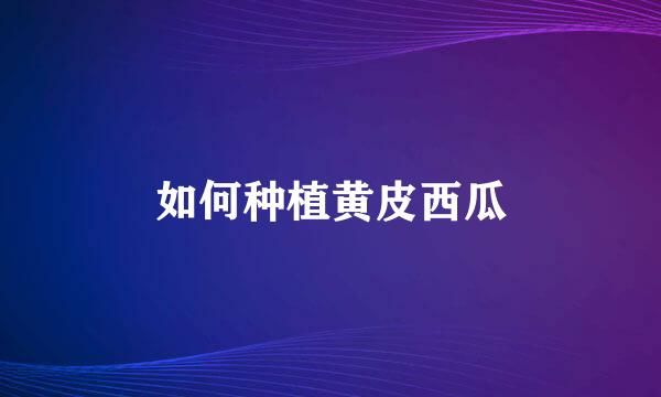 如何种植黄皮西瓜