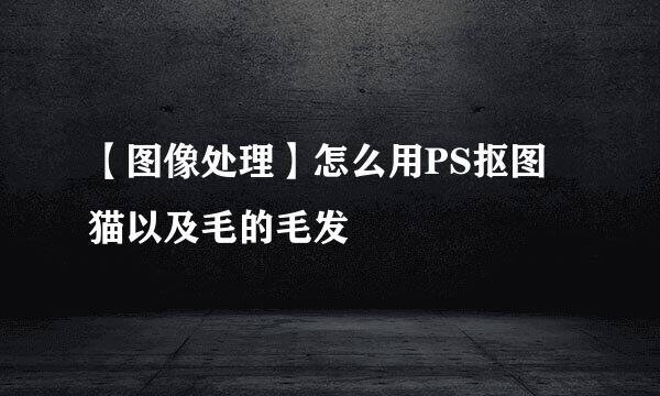 【图像处理】怎么用PS抠图猫以及毛的毛发