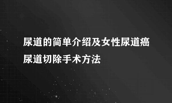 尿道的简单介绍及女性尿道癌尿道切除手术方法