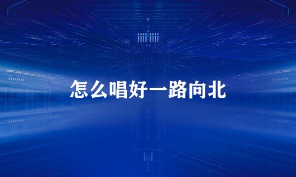 怎么唱好一路向北