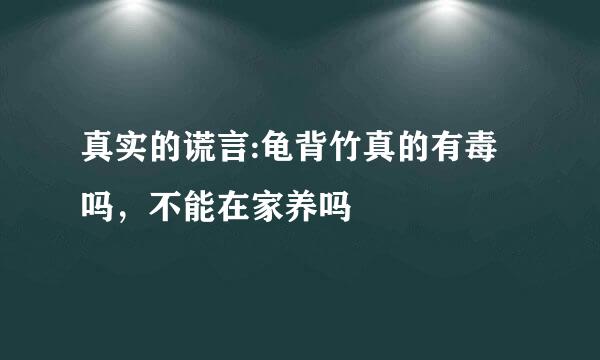 真实的谎言:龟背竹真的有毒吗，不能在家养吗