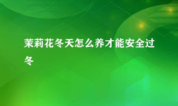 茉莉花冬天怎么养才能安全过冬