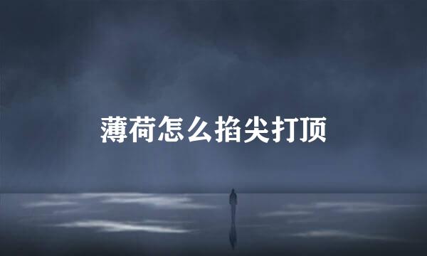 薄荷怎么掐尖打顶