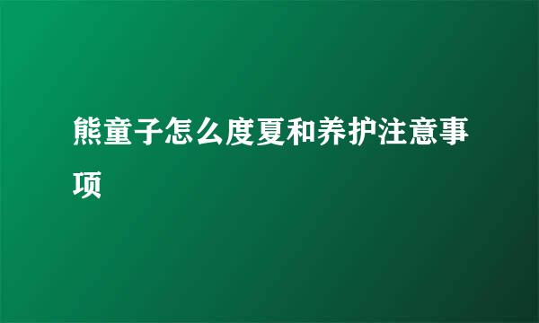 熊童子怎么度夏和养护注意事项