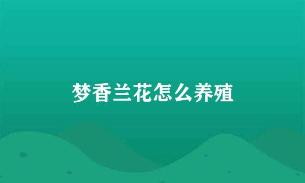梦香兰花怎么养殖