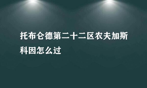 托布仑德第二十二区农夫加斯科因怎么过