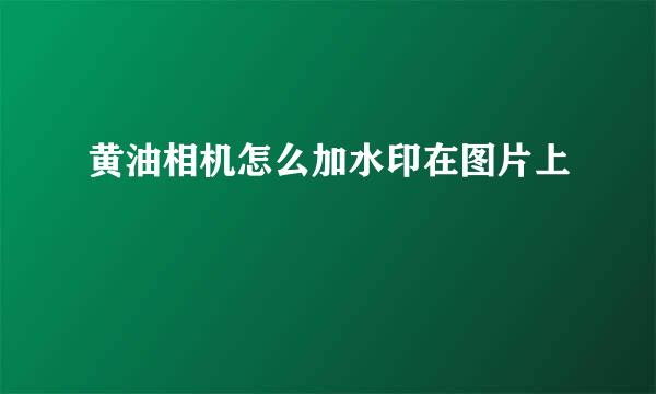 黄油相机怎么加水印在图片上