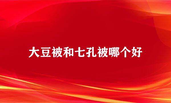 大豆被和七孔被哪个好