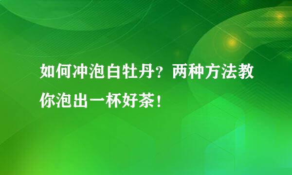 如何冲泡白牡丹？两种方法教你泡出一杯好茶！
