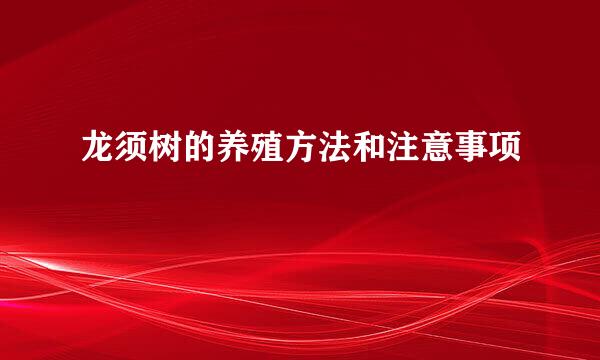 龙须树的养殖方法和注意事项