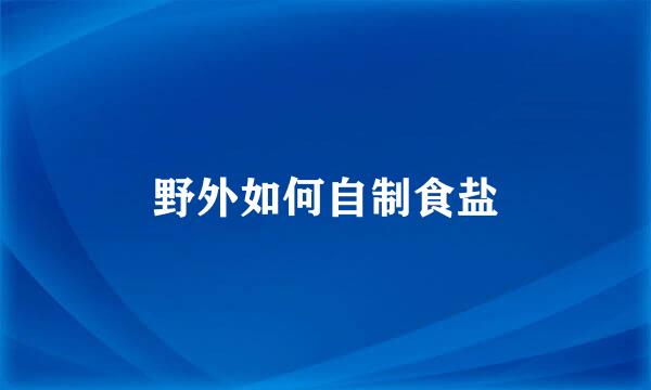 野外如何自制食盐