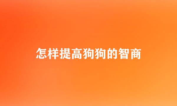 怎样提高狗狗的智商