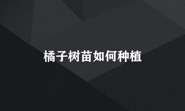 橘子树苗如何种植