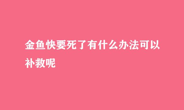 金鱼快要死了有什么办法可以补救呢