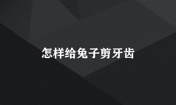 怎样给兔子剪牙齿