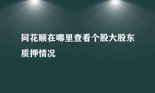 同花顺在哪里查看个股大股东质押情况