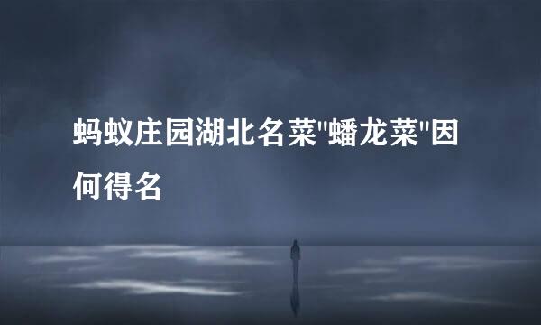 蚂蚁庄园湖北名菜
