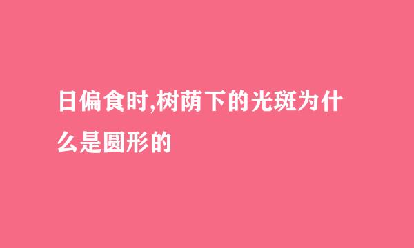 日偏食时,树荫下的光斑为什么是圆形的