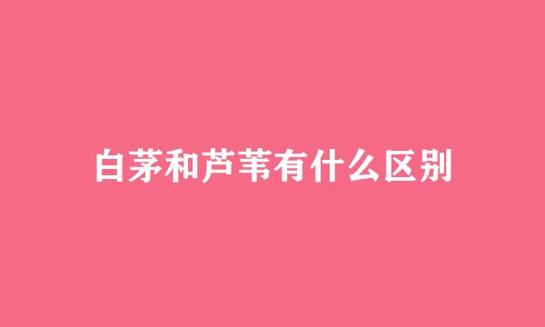 白茅和芦苇有什么区别