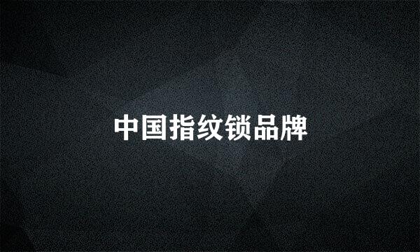 中国指纹锁品牌