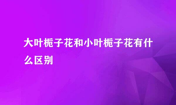 大叶栀子花和小叶栀子花有什么区别