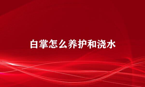 白掌怎么养护和浇水