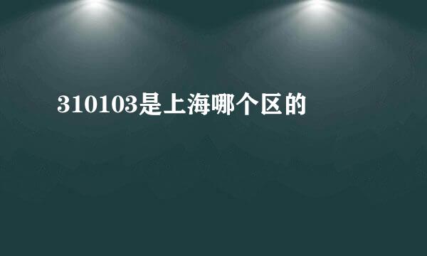 310103是上海哪个区的